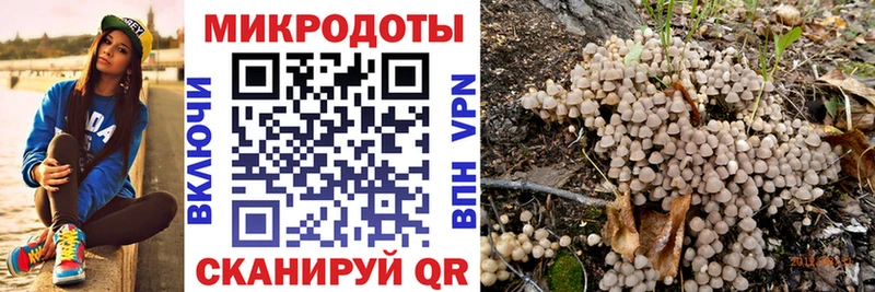 Псилоцибиновые грибы Magic Shrooms  Бабушкин 